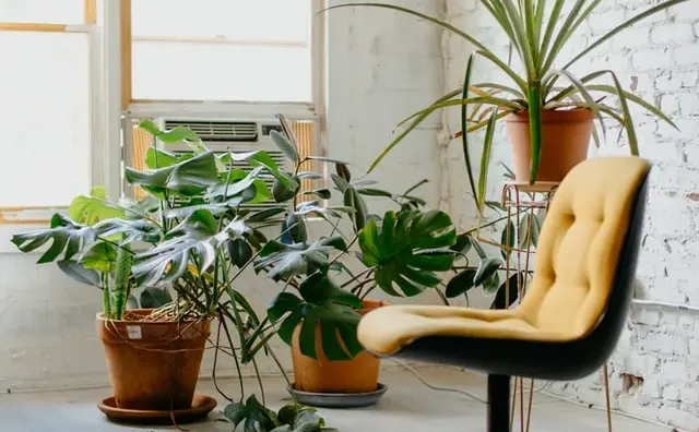 jasa-pembuatan-website-seo-untuk-perusahaan-profesional-toko-online