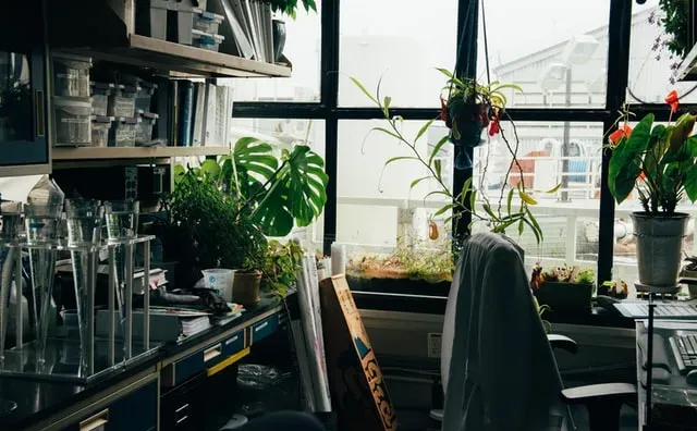 jasa-pembuatan-website-seo-untuk-perusahaan-profesional-toko-online