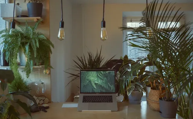 jasa-pembuatan-website-seo-untuk-perusahaan-profesional-toko-online