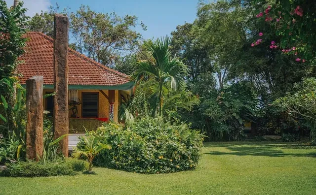 jasa-pembuatan-website-seo-untuk-perusahaan-profesional-toko-online