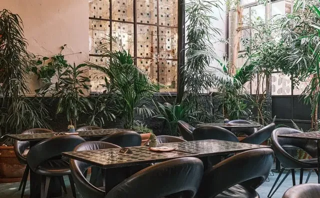 jasa-pembuatan-website-seo-untuk-perusahaan-profesional-toko-online