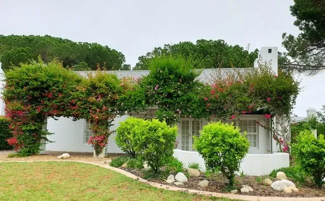 jasa-pembuatan-website-seo-untuk-perusahaan-profesional-toko-online